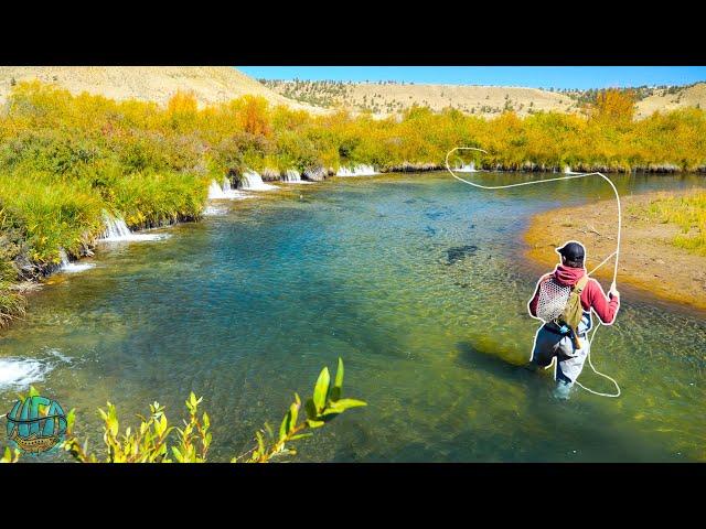 AMAZING FLY FISHING FOR BIG TROUT! (Streamer Fishing)