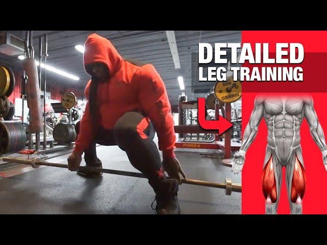 DETAILED LEG TRAINING