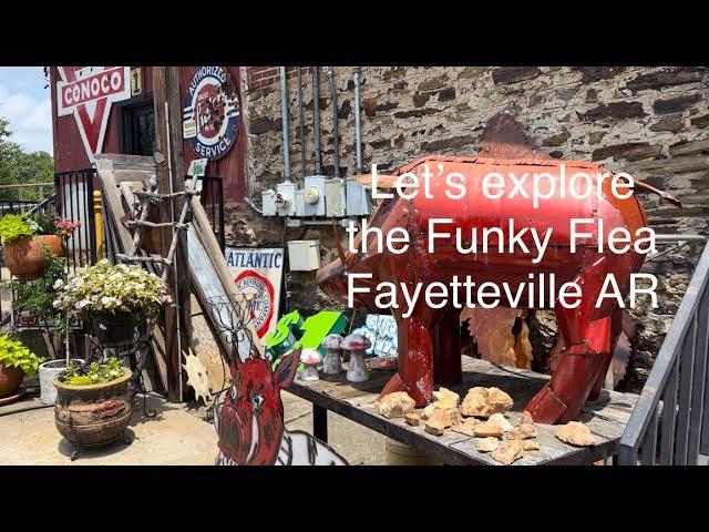 Exploring the Funky Flea Market Fayetteville Arkansas!