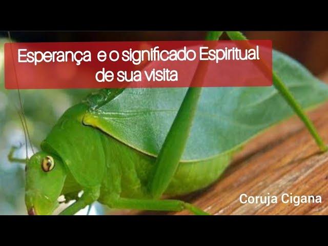 Esperança em sua casa Significado Espiritual VEDA # 05