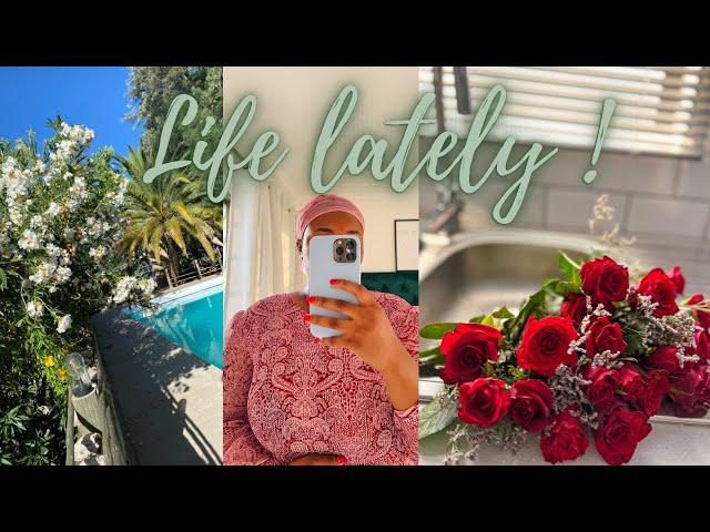 LIFE LATELY VLOG : errands, shopping, meetings , and the most you have ever seen me cook on here