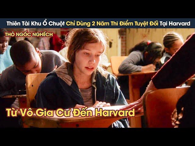 [Review Phim] Thiên Tài Khu Ổ Chuột Chỉ Dùng 2 Năm Thi Đậu Điểm Tuyệt Đối Tại Harvard