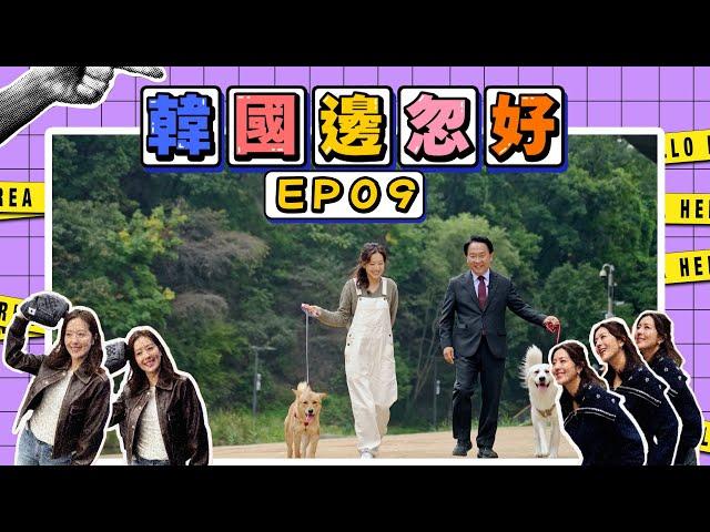 【韓國邊忽好】 EP09｜韓國寵物邊忽好｜貓貓｜狗狗｜寵物中心｜寵物餐廳｜寵物醫院｜好好制作｜HOY TV