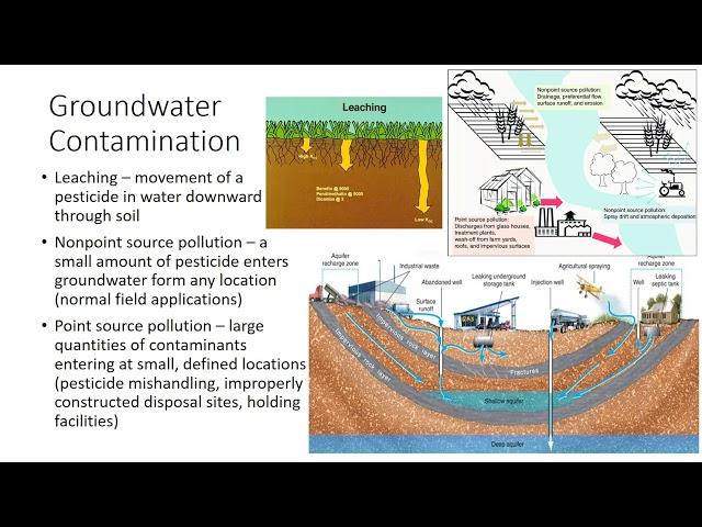 Environmental Concerns of Pesticide Use