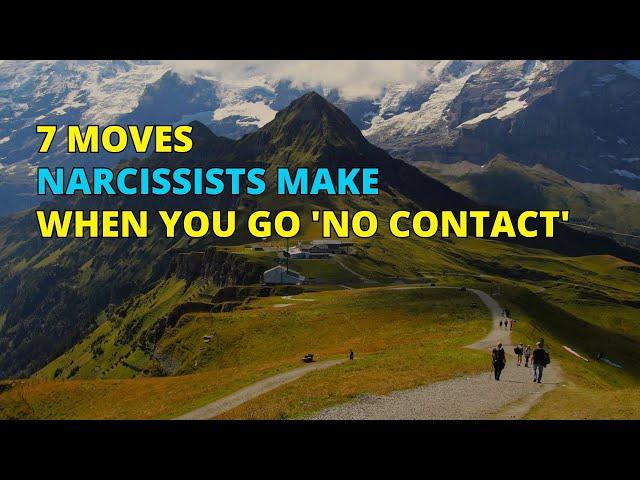 7 Moves Narcissists Make When You Go No Contact | Narc Pedia | NPD