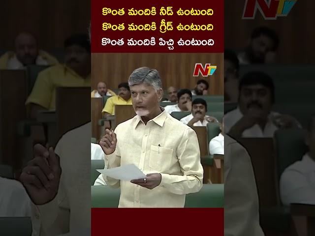 AP CM Chandrababu Naidu Slams YS Jagan | AP Assembly | Ntv