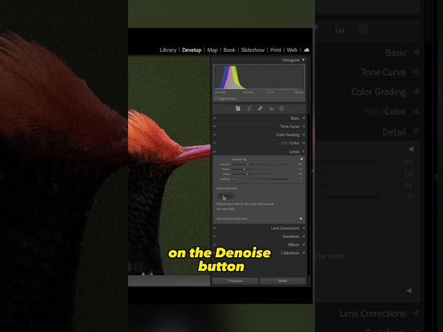 NEW Lightroom A.I. Denoise is INCREDIBLE!!