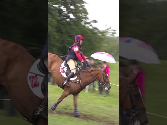 Bramham International Horse Trials 2019; a Harveywetdog Golden Year