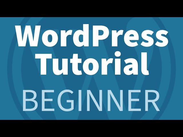 How to Use WordPress 101 Tutorial for Beginners — Learn the Basics to Edit Your Website