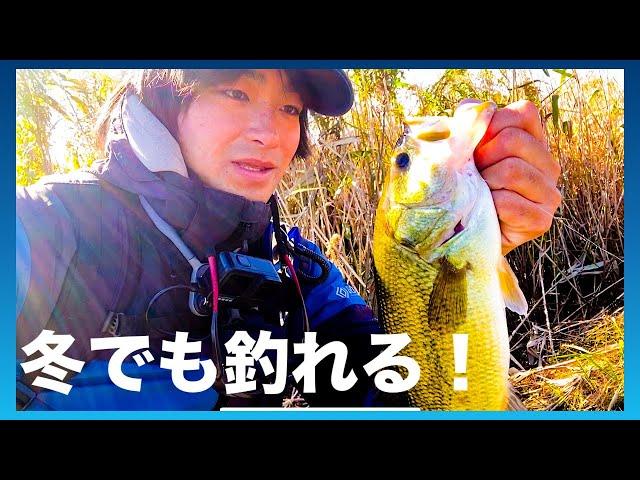 【霞ヶ浦水系】冬が始まった！霞水系でバスを釣る！