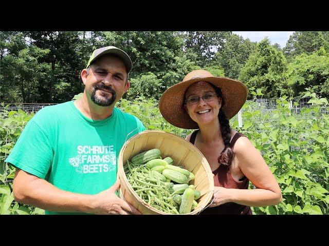 First ORGANIC Garden HARVEST of 2020!!!