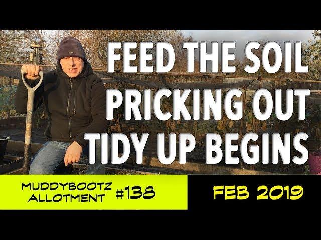 MuddyBootz Allotment #138 - Feed The Soil - Pricking Out Seedlings