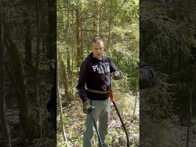 Находка века  #находки #империя #metaldetector #копатель #XPDeus #XPDeus2 #MinelabManticore