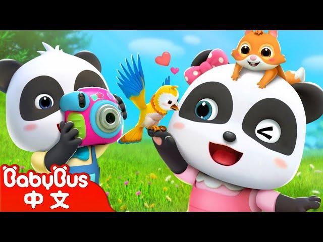 春天在哪裡 Spring Song | Sing Along | 中文經典兒歌 | 國語兒歌 | 童謠 | Kids Song | 卡通片 | 奇奇妙妙 | 寶寶巴士 | BabyBus