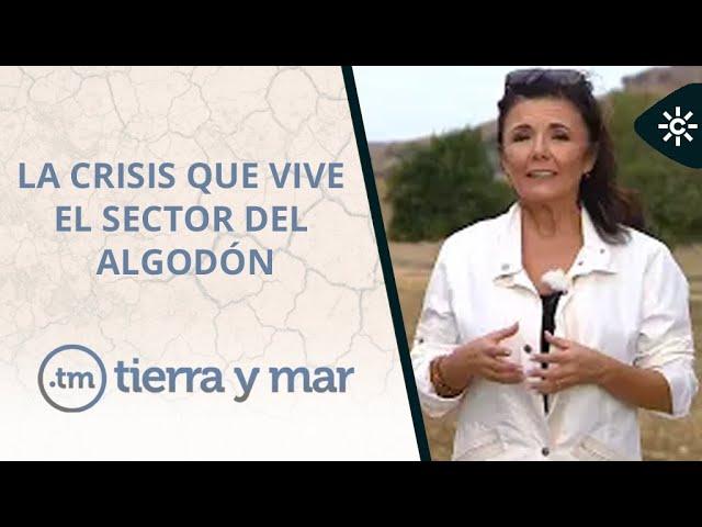 Tierra y Mar | La crisis del algodón y del almendro