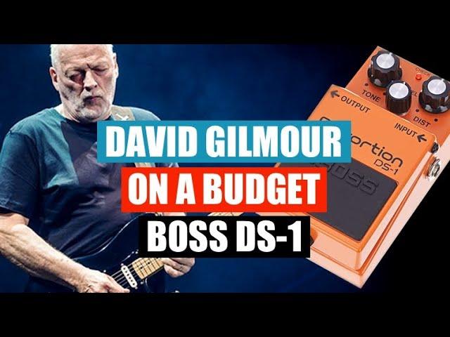 How to sound like David Gilmour on a budget - Boss DS-1