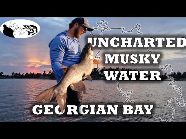 Unlocking Uncharted Waters: A Georgian Bay Musky Fishing Adventure