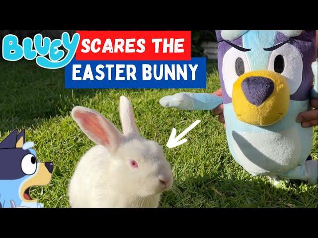  BLUEY Scares the Easter Bunny‼️ | Pretend Play with Bluey Toys | Disney Jr | ABC Kids