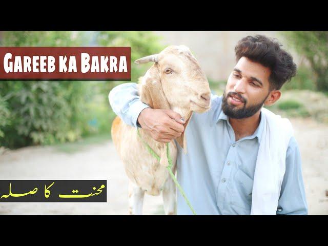 GARIB KA BAKRA | Eid Special | Heart Touching Story | Bwp Production