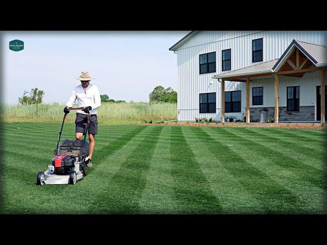 Do You Really NEED A REEL MOWER?? // Masport Rotarola Rear Roller Striping Lawn Mower