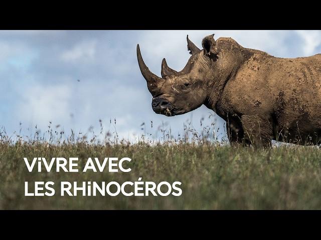 Vivre avec les rhinocéros : préserver pour l’avenir