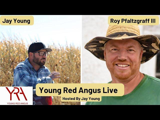 Young Red Angus Live With Roy Pfaltzgraff III(Finding New Markets and Raising New Crops)