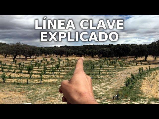 Linea Clave Explicado