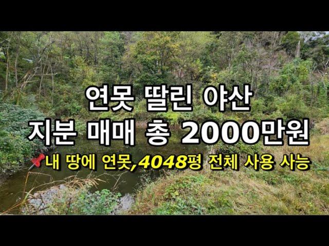 173번연못 딸린 야산 지분 매매 총 2000만원 #안동땅 #안동토지매매 #안동토지 #안동부동산 #의성땅 #의성땅매매 #의성땅매물 #의성부동산 #의성토지매매 #의성토지