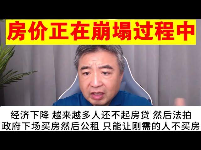 翟山鹰：房价正在崩塌过程中丨法拍房会越来越多丨政府下场买房只能让不买房人更多的原因