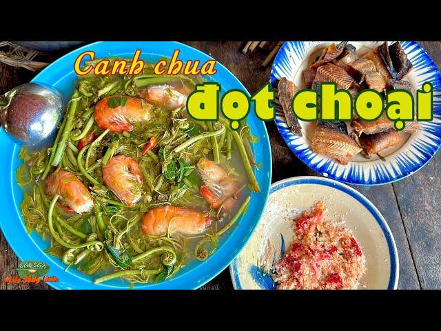 Canh chua đọt choại TÔM CÀNG, món ngon quê mẹ mênh mang đường về| Đặc sản miền sông nước