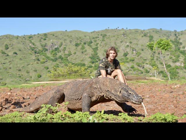 Surviving 24 Hours on KOMODO ISLAND Challenge (Komodo Dragon)