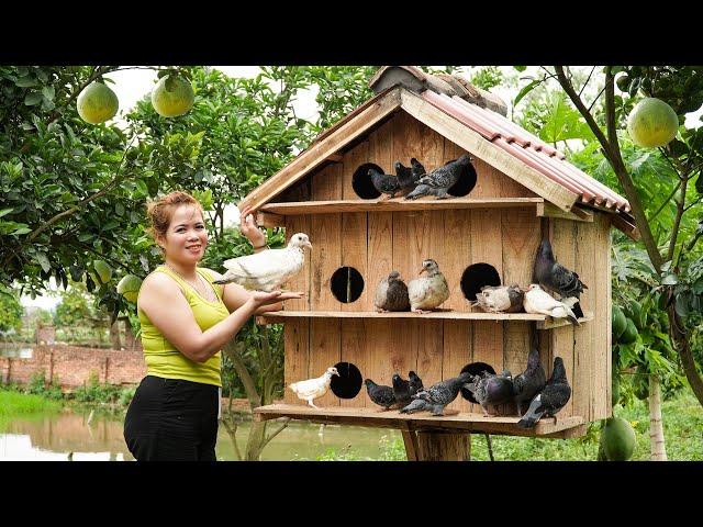 New Beginnings: Daughter's Return and Building Pigeon Farm | Free New Life