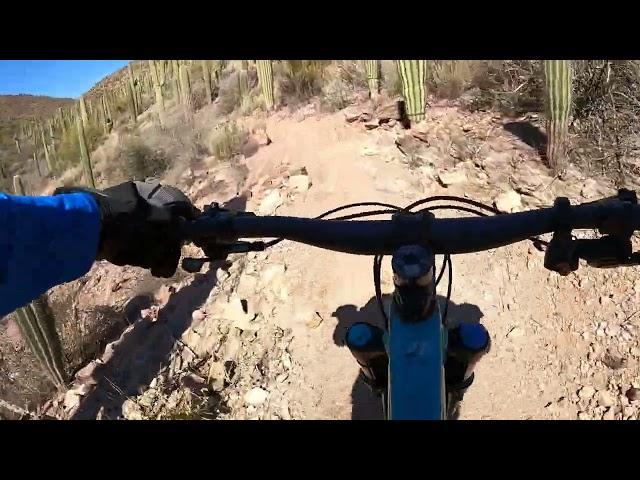 Explorer MTB ride at Tucson Mountain Pk