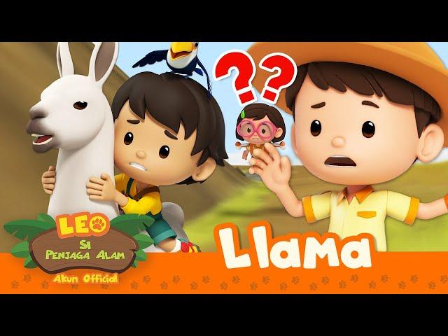 Menunggangi LLAMA di GUNUNG YANG BERBAHAYA?!  | 30 MENIT | Leo Si Penjaga Alam | Kartun Anak-anak