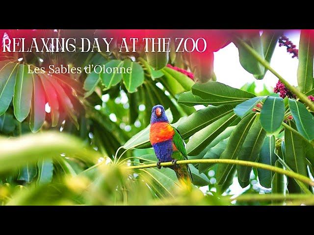 A FUN DAY at the ZOO | Reason why I was absent from Youtube | Les Sables d'Olonne, France