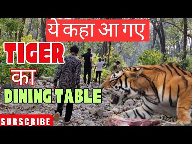 Trekking in Tiger territory TIGER KA DINING TABLE #uttarakhand #tigers