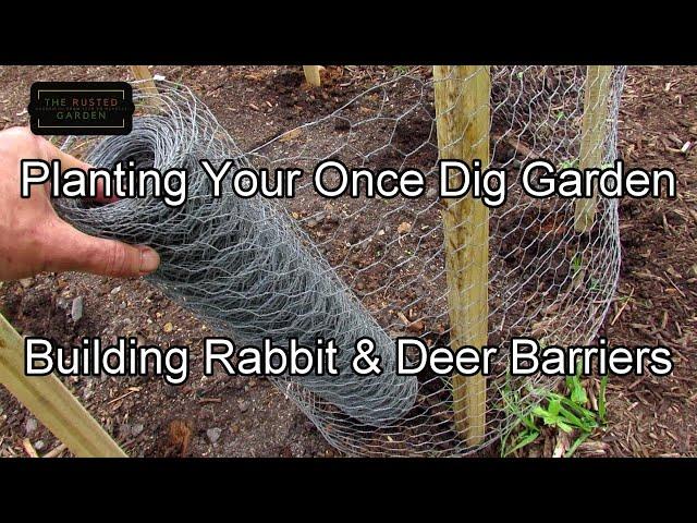 For New Gardeners -  Planting Your Once Dig Garden & Building Rabbit & Deer Barriers as/if Needed