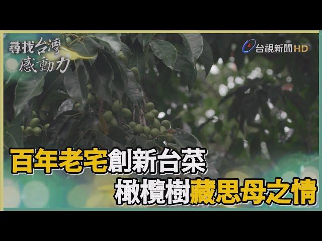 尋找台灣感動力-百年老宅創新台菜 橄欖樹藏思母之情