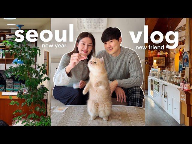 first seoul vlog of 2025  making a new cat friend  pet loss & grief, NYE with a dink couple