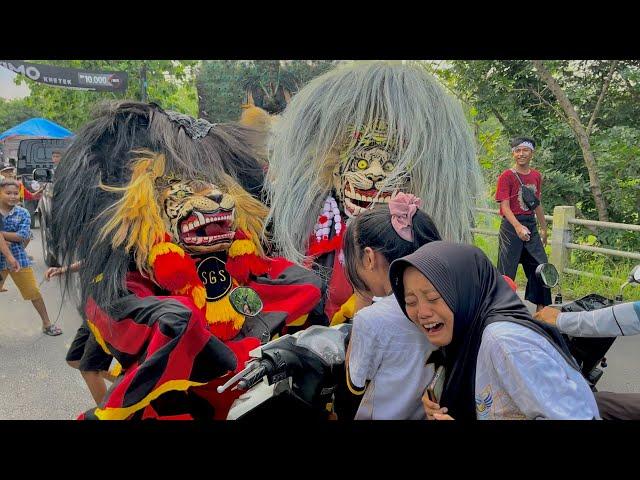 BARONGAN NGAMUK !! Arak Arakan Barongan Blora & Reog Ponorogo Sekar Gading Seto Live Bogorejo