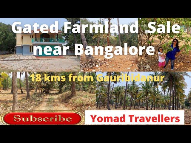 Low Cost Farmland Sale Near Bangalore Gauribidanur l Farm House l 80 Kms from Yelahanka