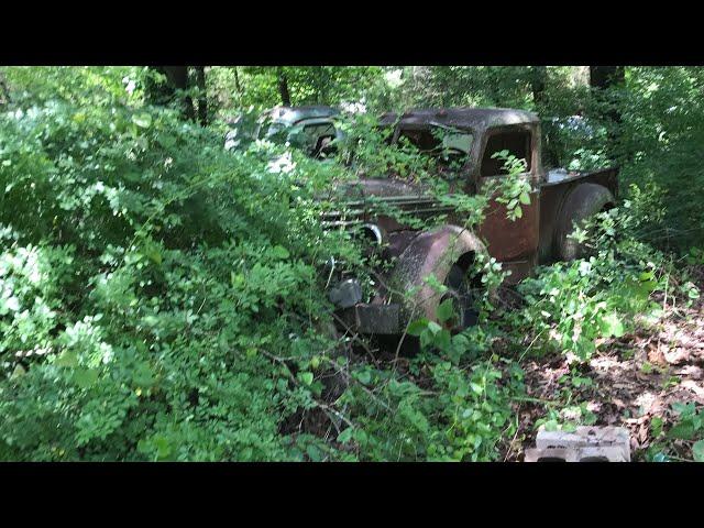 35+ car and truck forest find Diamond t’s 40 Ford trucks Ford coupes Hudson hornet’s Plymouth coupe￼