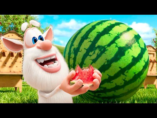 Booba - Watermelon Farm - Cartoon for kids