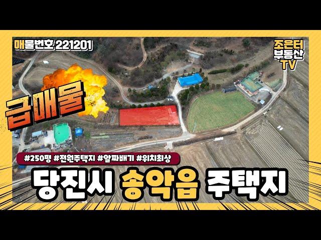 토지 1201) 당진시 송악읍 / 250평 / 급매물 / 전원주택지 매물 찾으시면 그냥 바로 가져가세요 설명할 시간이 아까운 좋은 매물입니다