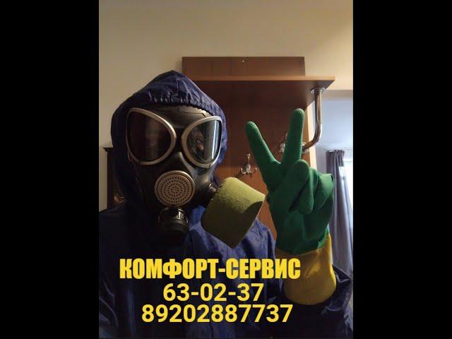 Туман от клопов и тараканов. Уничтожение клопов и тараканов холодным туманом.