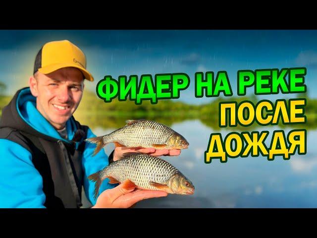 Фидерная рыбалка на плотву - секреты успешной ловли Тактика ловли 