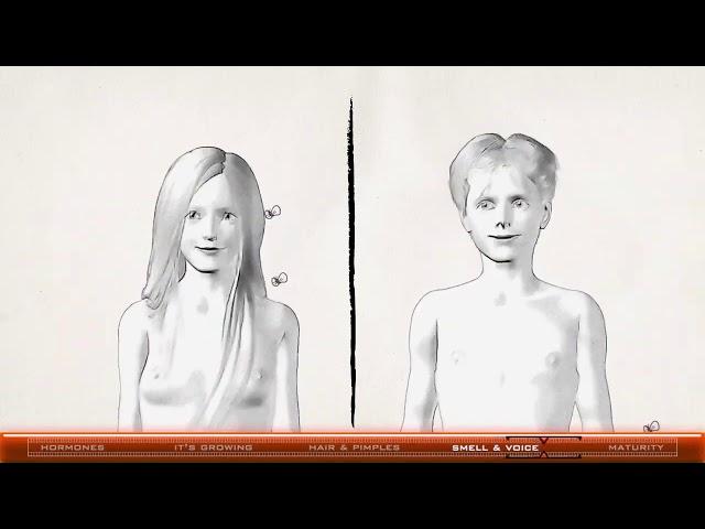 Animated Puberty
