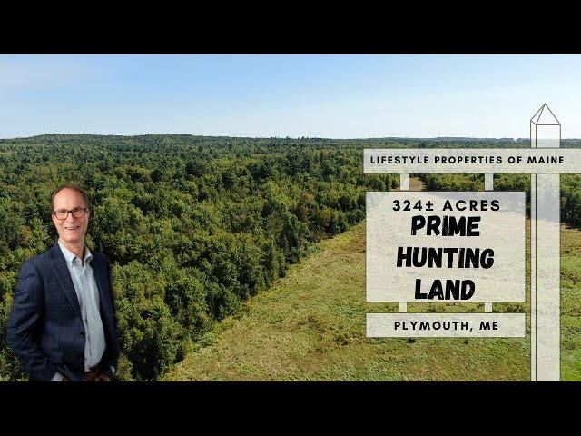 Price Reduced! $388,800 | 324± Acres of Prime Hunting Land for Sale | Maine Real Estate