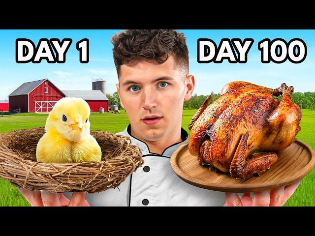 I Hatched A Chicken, Then Cooked It