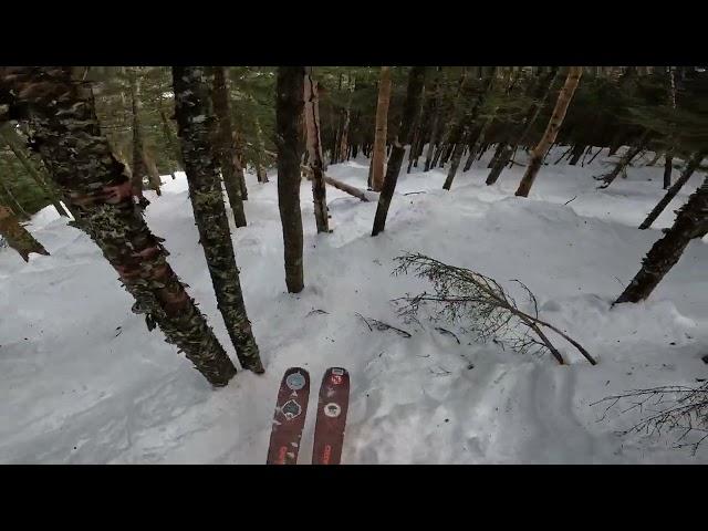 Goods In The Woods - Taft Trail to Upper Hardscrabble to Wicked Haahd - Cannon (2024)